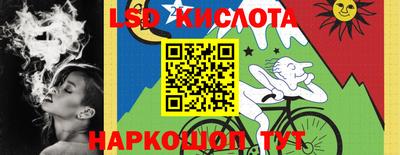 гидра Краснознаменск