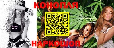 гидра Краснознаменск