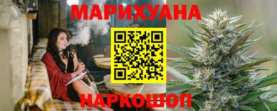 гидра Краснознаменск
