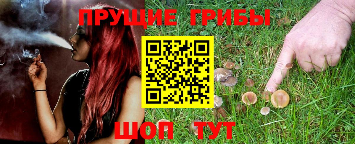 Ишимбай  Псилоцибиновые грибы Psilocybine cubensis  Вход с VPN 