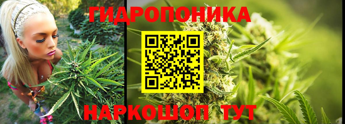 Бошки марихуана Amnesia Ишимбай